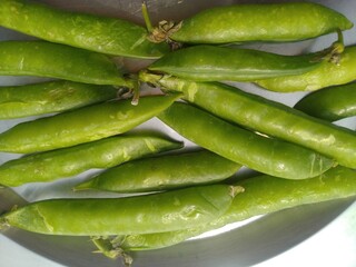 Green Small Peas