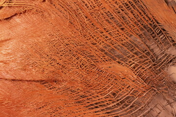 Natural palm bark texture with in shades of orange - trendy still life photo for your presentation, abstract background with copy space for text. Selective focus. Tropical backdrop