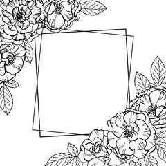 Hand drawn frame of roses flowers on a white background. Vector illustration. Perfect for coloring book, invitation,greeting card, print.