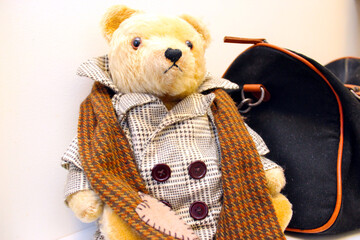teddy bear with a travel pack