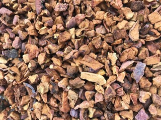 background of dried leaves