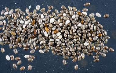 Fototapeta premium Chia seeds photographed in the studio in detail against black background