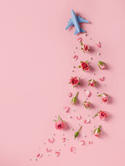 Travel concept with white blue airplane, flowers and petals on pink background. Minimal love, romance, trip or vacation concept. Top view, flat lay, copy space.