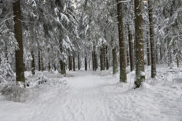 Unterwegs in Ernstthal am Rennsteig