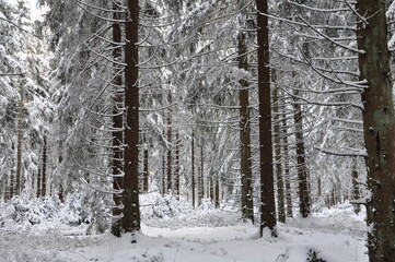 Unterwegs in Ernstthal am Rennsteig