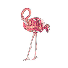 Pink flamingo. Vector illustration