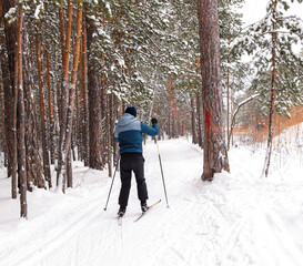 A man is skiing in a winter park. Winter sport. Ski track in the forest. Active people in nature. Copy space. Selective focus.