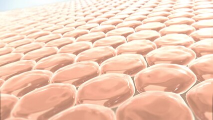 Cosmetic 3D animation design skin cell layer. Serum for lightening Dark skin tone changed to bright and repair wrinkles skin.