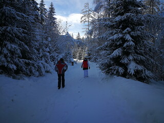 Winterlandschaft