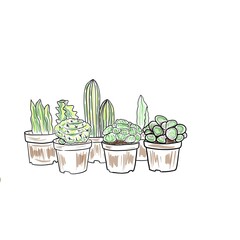 Cacti and various succulents in pots, painted in light colors. Digital illustration.