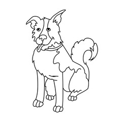 Dog. Coloring book page. Vector illustration