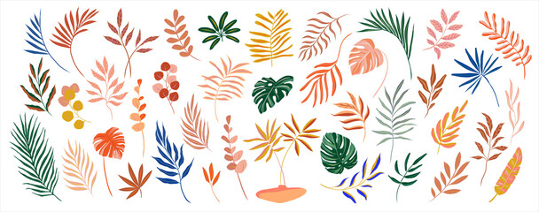 set of hand drawn modern tropical exotic leaves and branches illustration isolated on white background