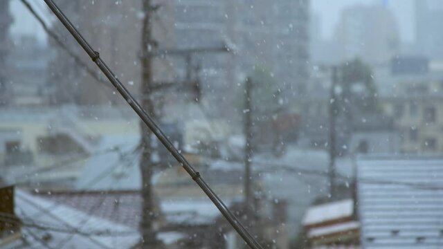 日本の住宅地に降る雪