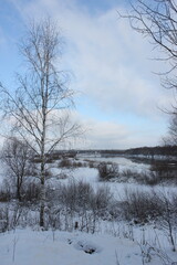 Fototapeta premium landscape with trees and snow