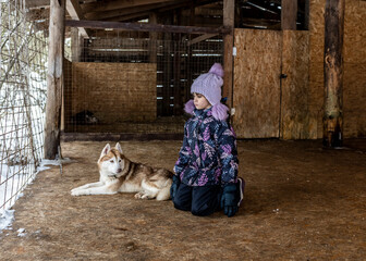 beautiful girl in a purple hat posing with husky dogs in a dog enclosure for resting dogs 