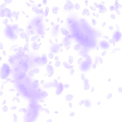 Naklejka premium Violet flower petals falling down. Precious romant