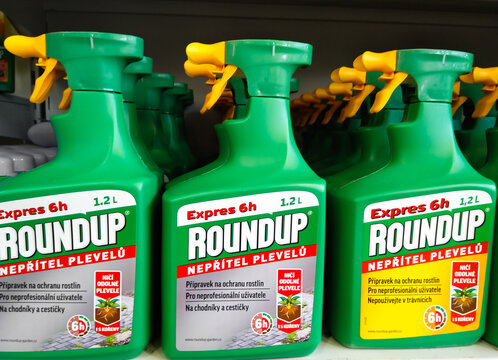 PRAGUE, CZECH REPUBLIC - APRIL 19, 2019: Shelves with containers of RoundUp herbicide. More than 11,000 lawsuits in the U.S. seek to link the herbicide to cancer.