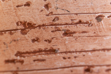 vasija de barro rojo envejecido