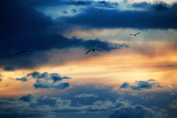 Fototapeta na wymiar dramatic sunset sky with stormy clouds