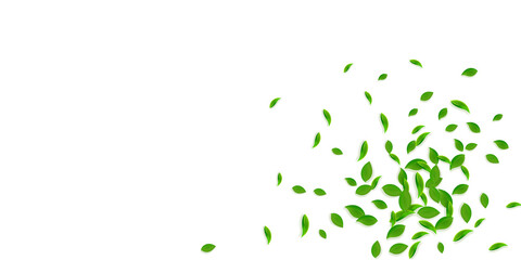 Falling green leaves. Fresh tea chaotic leaves fly