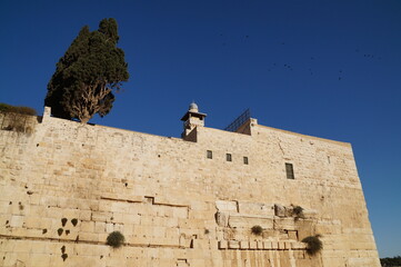 a fragment of the Wailing Wall in Jerusalem