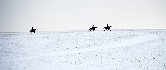 Horse walk. Horsemen on the snow-covered expanses at the moment of winter sunset