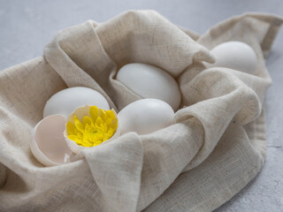 Fototapeta na wymiar Yellow flower and white eggs .