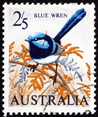 Postage stamp Australia 1964 blue wren, bird