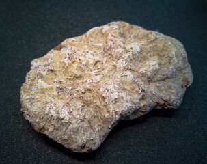 plitnyak stone, Ilmen clay with inclusions of ancient mollusks