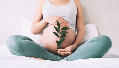Pregnant woman holds green sprout plant near her belly as symbol of new life, wellbeing, fertility, unborn baby health. Concept pregnancy, maternity, eco sustainable lifestyle, gynecology. - obrazy, fototapety, plakaty