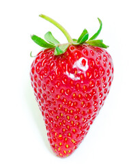 Fresh cut strawberry fruit with long stem isolated on white background with copy space