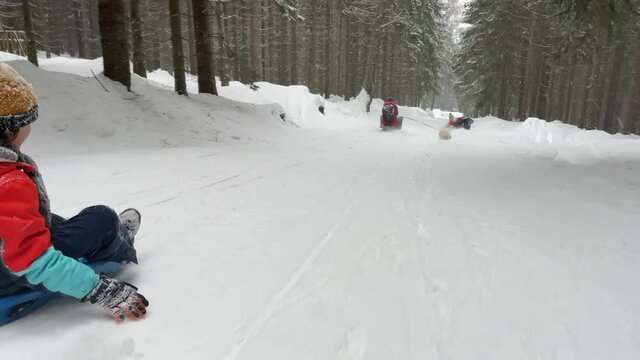 Happy children, going down the slope on a plastic sledge, speeding, happiness