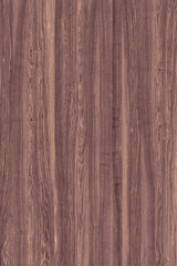 wooden tree timber background texture structure backdrop