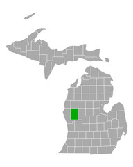 Karte von Newaygo in Michigan