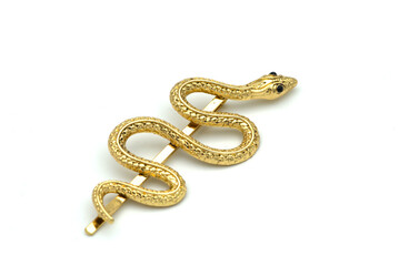 Brooch with bolden snake on white background.