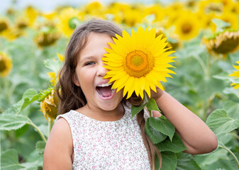 Smiling summer little girl holding sunflowerher near eye