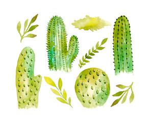 Watercolor cactus