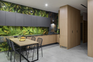 modern kitchen interior, kitchen