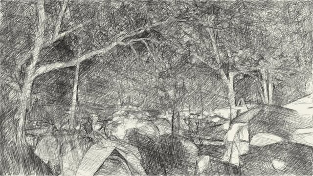 art drawing black and white of camp in night garden