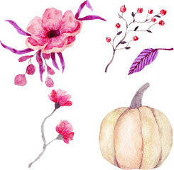 Beautiful pumpkin with flowers. Watercolor illustration - 408994207