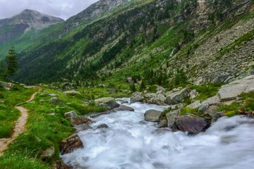 Fototapeta na wymiar path next to a mountain stream while hiking