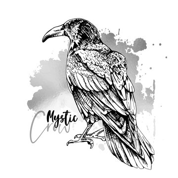 Black and white Sketch of a crow on a silver spot background. T-shirt composition, Hand drawn style print. Vector illustration.