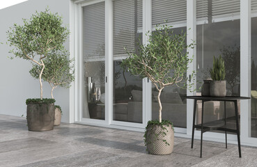 Minimalism modern architecture design sunlight and white color with large window. Plants olive trees, table and pots. 3d rendering. 3d illustration.