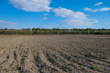 Fototapeta na wymiar Cultivated land prepared for sowing. Agriculture concept. Copy space. 