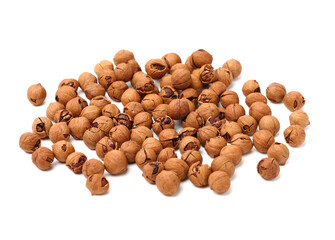 shagbark hickory nuts on white background