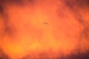 dramatic sunset sky with stormy clouds