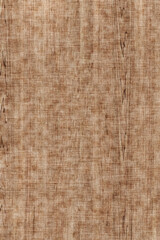 Fototapeta na wymiar brown wooden tree timber background texture structure backdrop