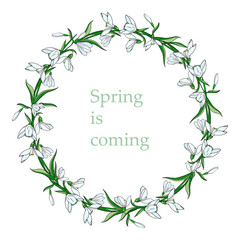 Snowdrop wreath. Spring card with white flowers and green leaves. Vector illustration