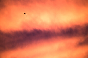 dramatic sunset sky with stormy clouds