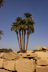 Karnak Temple - the largest temple complex in Ancient Egypt